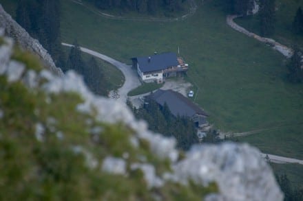Tirol: Musauer Alm und Sennerei (1.289m) (Reutte)