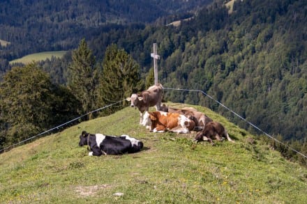 Oberallgäu: Gedenkkreuz Prodelalpe (Oberstaufen)