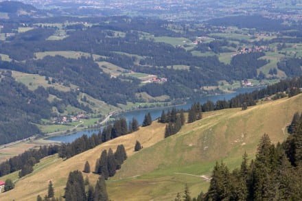 Oberallgäu: Alpsee (Immenstadt) (Oberstaufen)