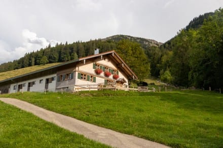 Oberallgäu: Mittlere Simatsgund Alpe (Oberstaufen)