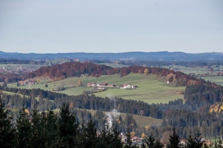 Buch/Zwieselberg (1.055m), Felsen (1.005m)
