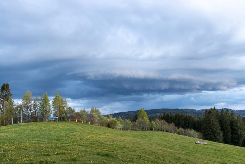 Molassenhügel Rauhenstein<br />(Wiggensbach - Oberallgäu / 2021)