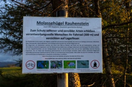 Oberallgäu: Molassenhügel Rauhenstein (Wiggensbach)