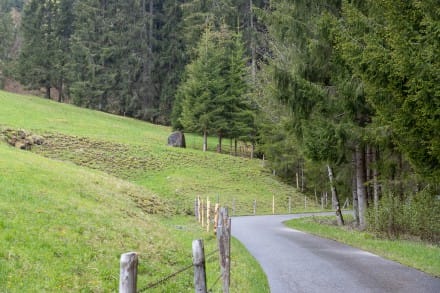 Oberallgäu: Wirtschaftsweg Haldenschlag (Sonthofen)