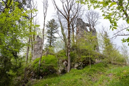 Oberallgäu: Ruine Fluhenstein (Sonthofen)