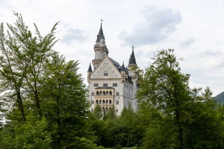 Oberallgäu: Schloss Neuschwanstein (Füssen)