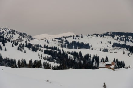 Oberallgäu: Printscher Alpe (Sonthofen)