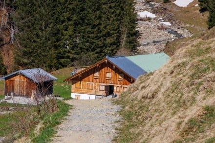 Oberallgäu: Zunkleiten Alpe (Sonderdorf)