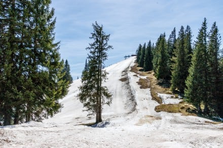 Tour: Ochsenkopf - Hörner Runde - Alpe Hinteregg