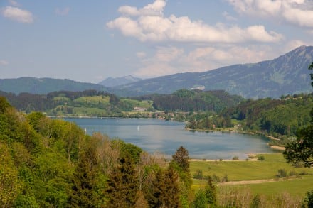 Oberallgäu: Salmaser und Thaler Höhe (Immenstadt)
