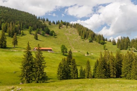 Ostallgäu: Alpe am Kesaweg (Pfronten)