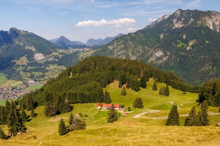 Oberallgäu: Alpenrosenköpfle (Bad Hindelang)