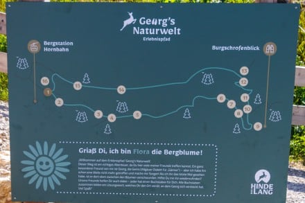 Oberallgäu: Erlebnispfad Georgs Naturwelt (Bad Hindelang)