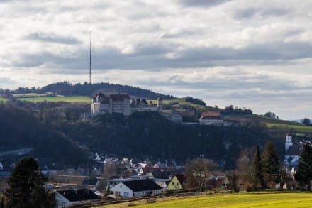 Burg Harburg - Sendemast
