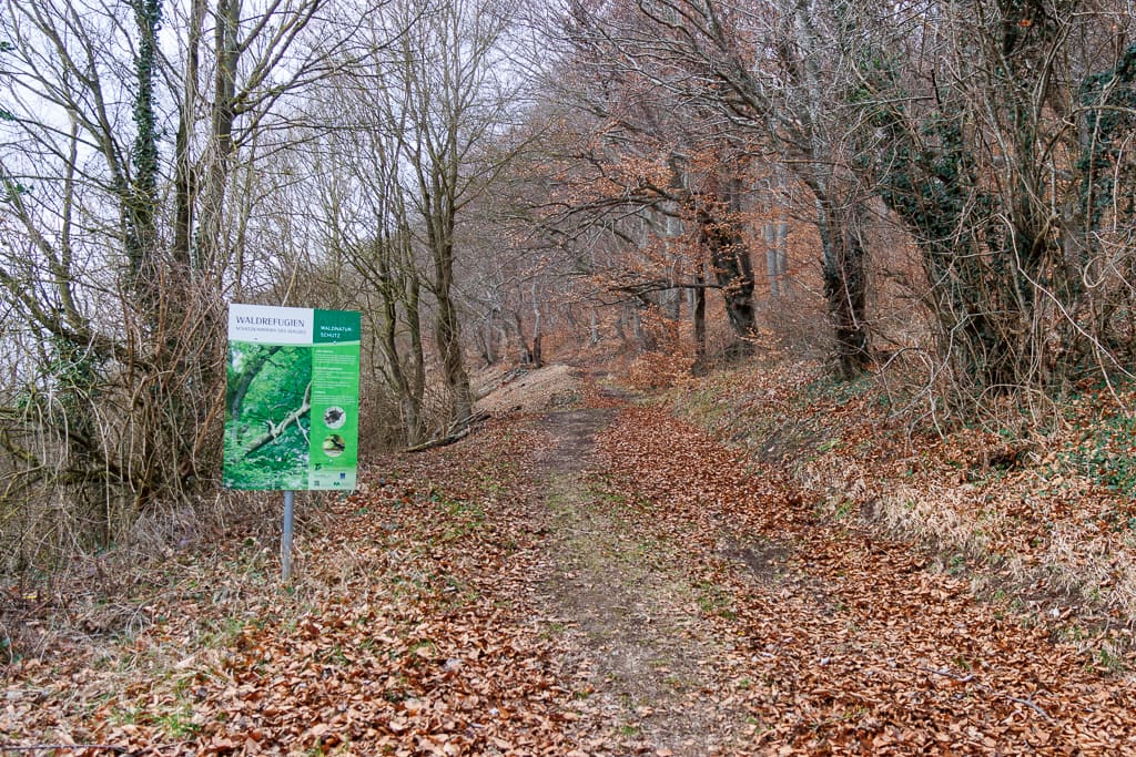 Waldrefugien. Schatzkammer des Waldes<br />(Bopfingen - Donau-Ries / 2023)