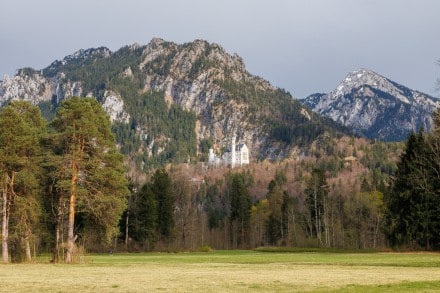 Schloss Neuschwanstein
